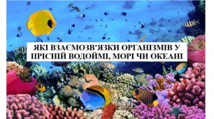 Презентація на тему "Які взаємозв'язки організмів у прісній водоймі, морі чи океані" 6 кл НУШ