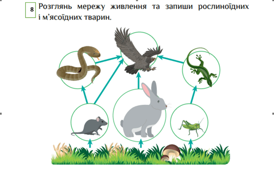 0501crec-48d4-940x587.png