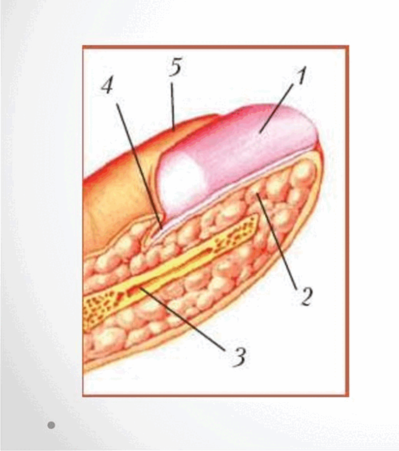 0501csjd-a335-811x916.png