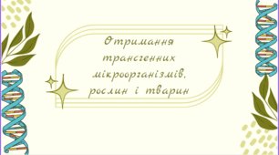 Презентація "Отримання трансгенних мікроорганізмів, рослин і тварин"