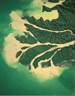 0501cwwy-80e5-240x308.png