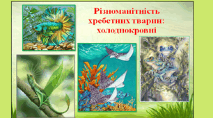 7 - клас. Різноманітність хребетних тварин: холоднокровні 
