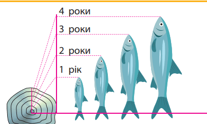 0501d204-366e-403x242.png