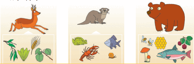 0501d22t-5dbe-673x222.png