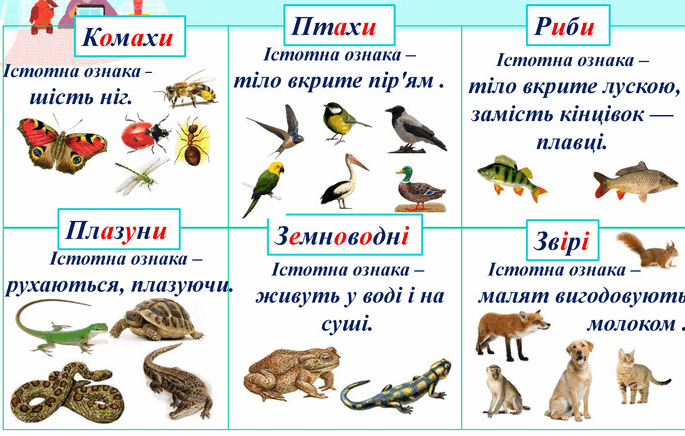 0501d2x5-b0d8-685x436.png
