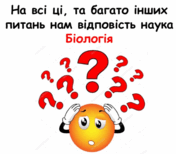 0501d40i-a0e2-176x154.png