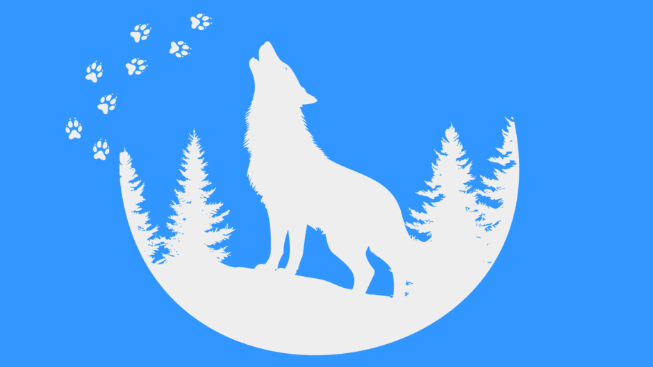 0501d77n-cc84-940x529.png