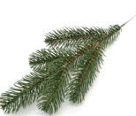 0501dadb-1ba0-154x131.png