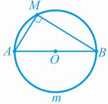 0501dfgp-6365-218x210.png