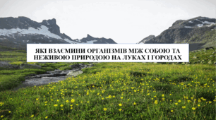 Презентація на тему "Які взаємини організмів між собою та неживою природою на луках і городах" 6 кл НУШ