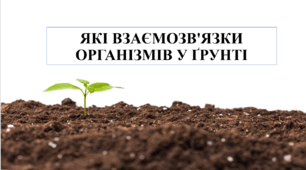 Презентація на тему "Які взаємозв'язки організмів у  ґрунті" 6 кл НУШ