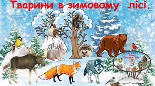 Тварини в зимовому лісі. Презентація (анімована) з медіафайлом . Заняття з розвитку зв'язного мовлення для дошкільників.