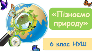 Узагальнення знань за І семестр з предмету "Пізнаємо природу" у 6 класі за програмою Коршевнюк.