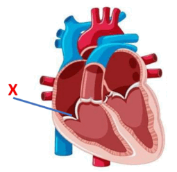 0501g649-175a-255x248.png