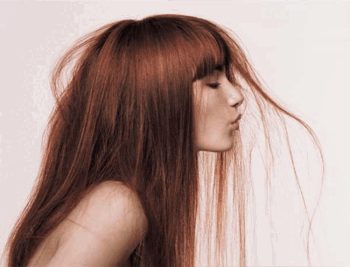 0501guxk-0b08-350x267.png