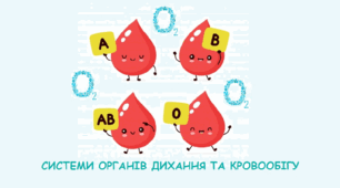 8 - клас. Системи органів дихання та кровообігу