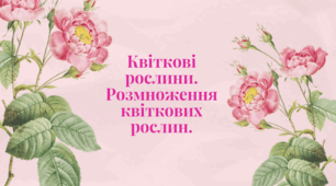 Квіткові рослини. Розмноження квіткових рослин.