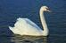 0501hfst-4b4b-74x49.jpg