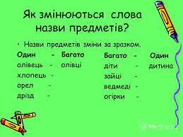 Презентация на тему: "Слова – назви предметів. На які питання відповідають слова назви предметів? До слів, добери слова, які відповідають на питання що? Зразок: (хто?) двірник.". Скачать бесплатно и без регистрации.
