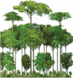 0501hg4d-b46c-147x157.png