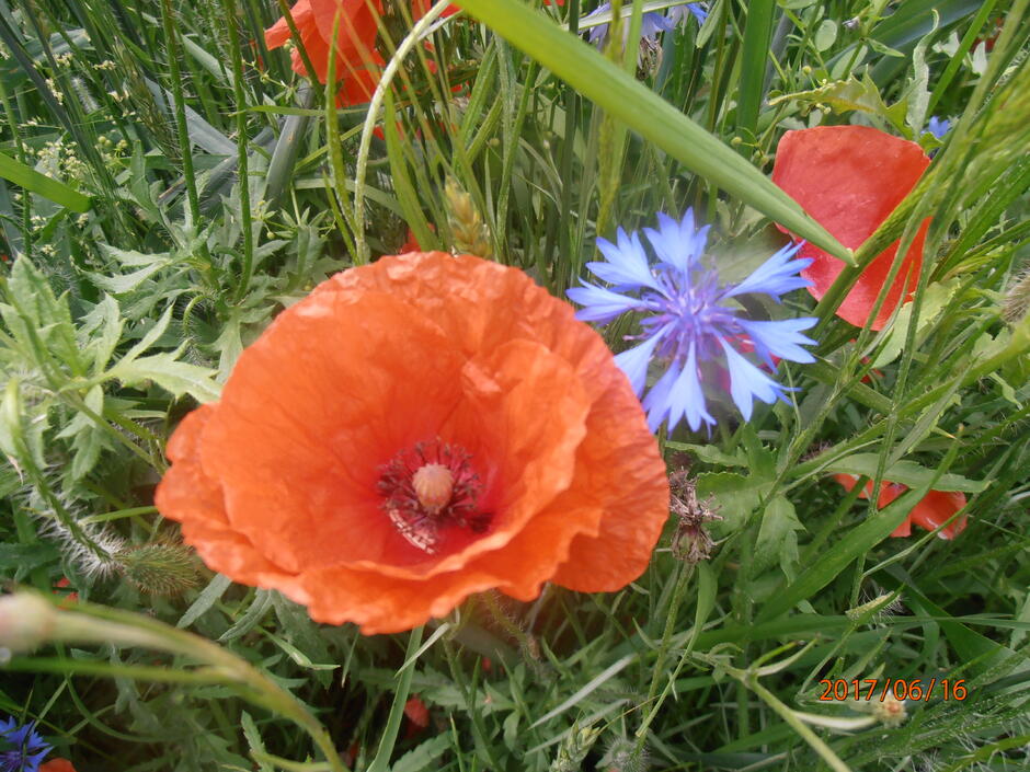 0501hgjj-df99-940x705.jpg