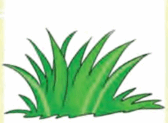 0501hoga-38d9-168x123.png