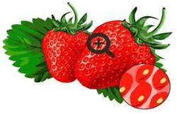 0501hq5i-d7b7-250x162.png