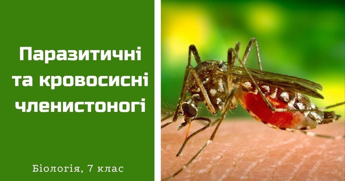 Паразитичні та кровосисні членистоногі | Конспект. Біологія