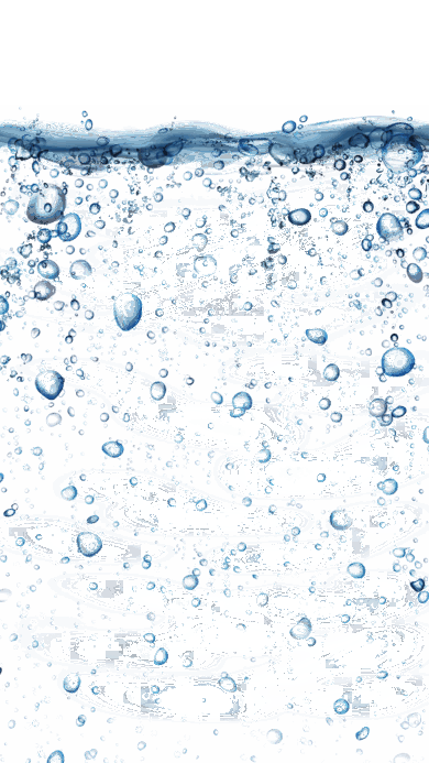 0501hsc4-02c8-390x693.png