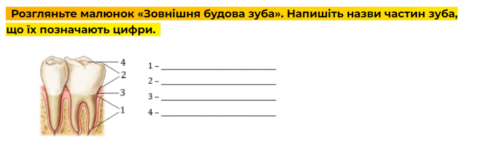 0501hv9s-879e-940x304.png
