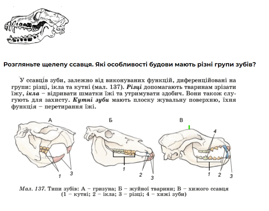 0501hveu-5189-940x736.png