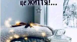 Цитата Дня