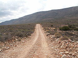 0501hy8q-9818-250x188.jpg