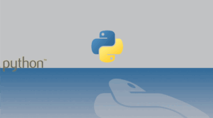 Алгоритми та програми мовою програмування Python ч.1