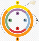 0501i2da-82bb-129x135.png