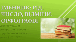 Контрольна робота " Іменник: рід, число, відміни. Орфографія"