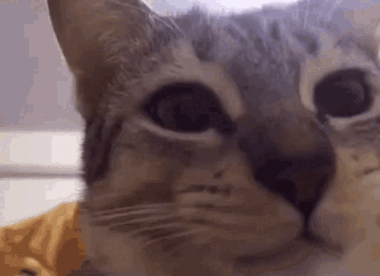 0501ib7l-5470-380x276.gif