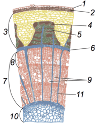 0501ifkk-ed64-196x242.png