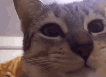 0501ifrb-50da-421x306.gif