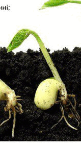 0501ig3i-9c74-159x286.png