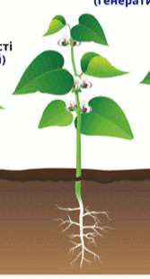 0501ig5u-f528-167x310.png