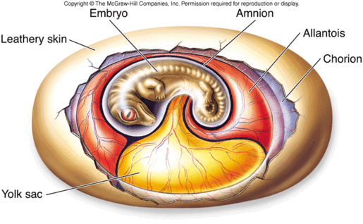 0501ihpw-d298-515x318.png