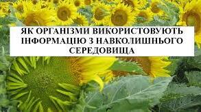 Презентація " Як організми використовують інформацію з навколишнього середовища"