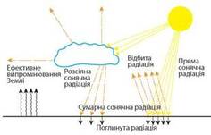0501ii98-9c48-236x151.jpg