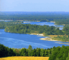 0501iign-ddaa-320x278.png
