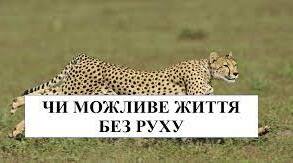 Презентація " Чи можливе життя без рyхy ?"