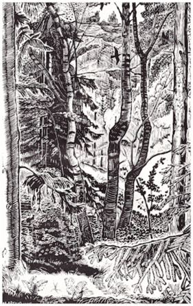 0501ijub-8291-281x446.png