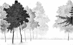 0501ijw4-e39f-278x171.png