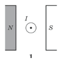 0501ikue-8228-122x119.png