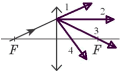 0501ikzf-588b-239x142.png